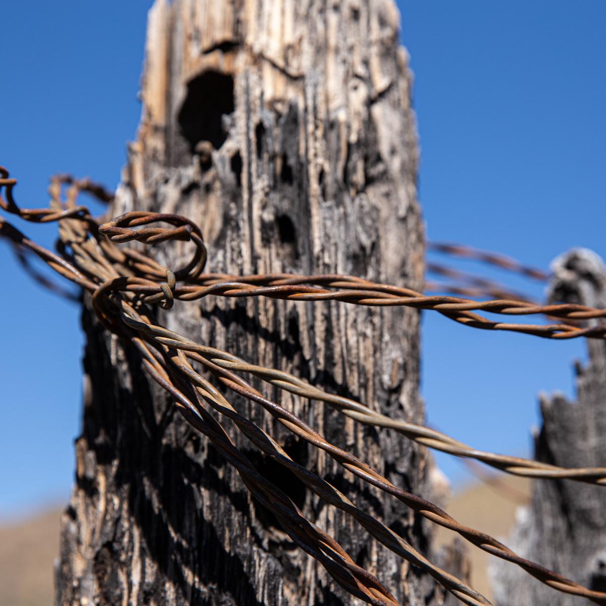 Twisted wire is wrapped around a fence post.