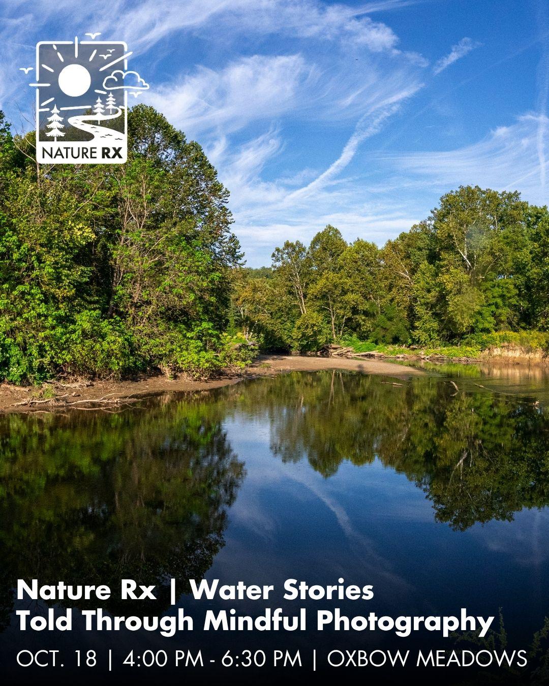 A river reflects the tall green trees along its bank and the blue sky with wispy clouds above.