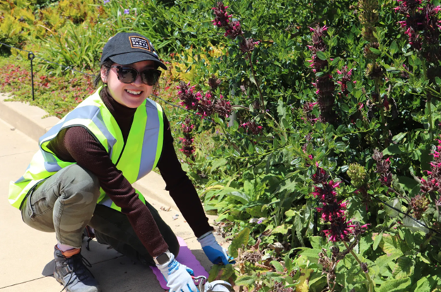 A volunteer sits in front of a plant