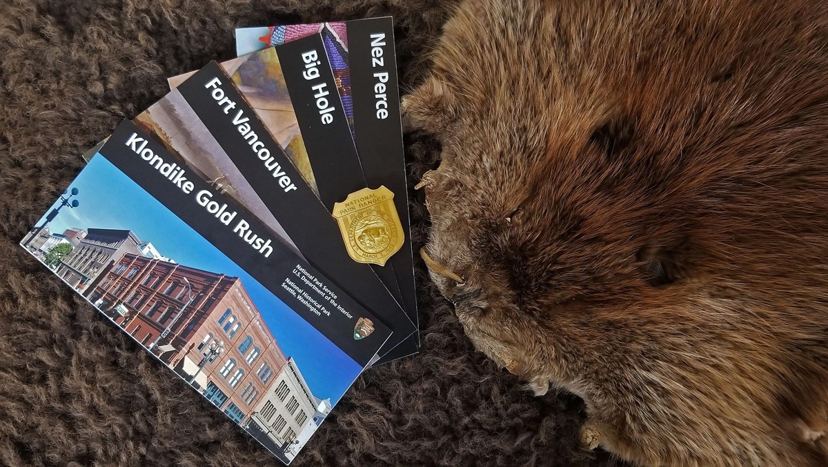 Brochures of highlighted furs with NPS badge and animal pelts