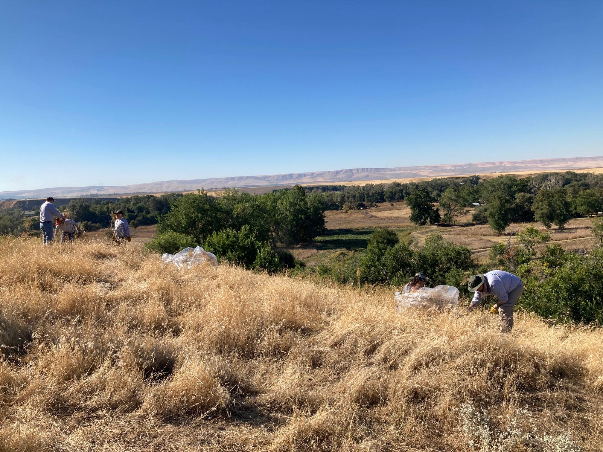 National Public Lands Day — Outdoors · Walla Walla