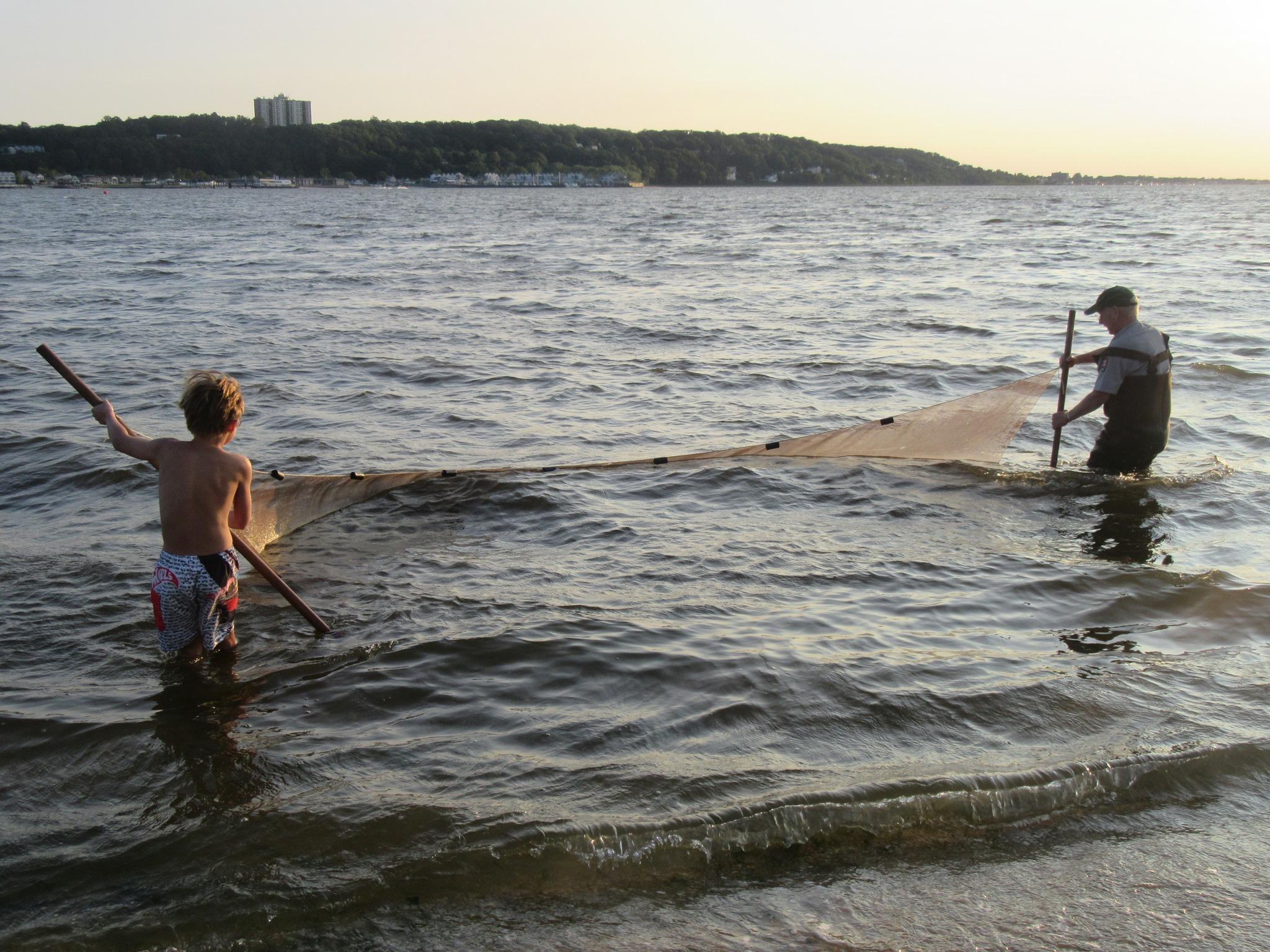 Two people with seine net in the water