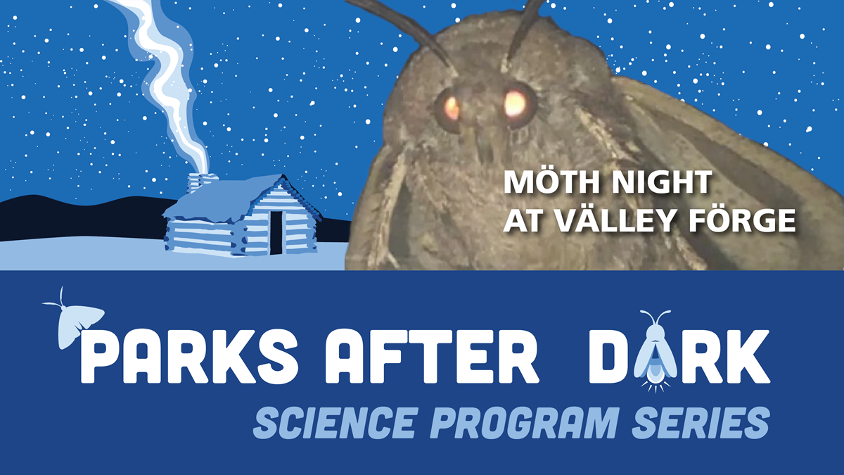 Closeup photo of a moth from moth lamp meme and a log hut illustration with smoke and starry sky