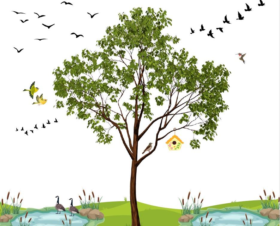 Graphic of a tree with birds flying in the sky. Birds can also be seen on green grass and in a pond