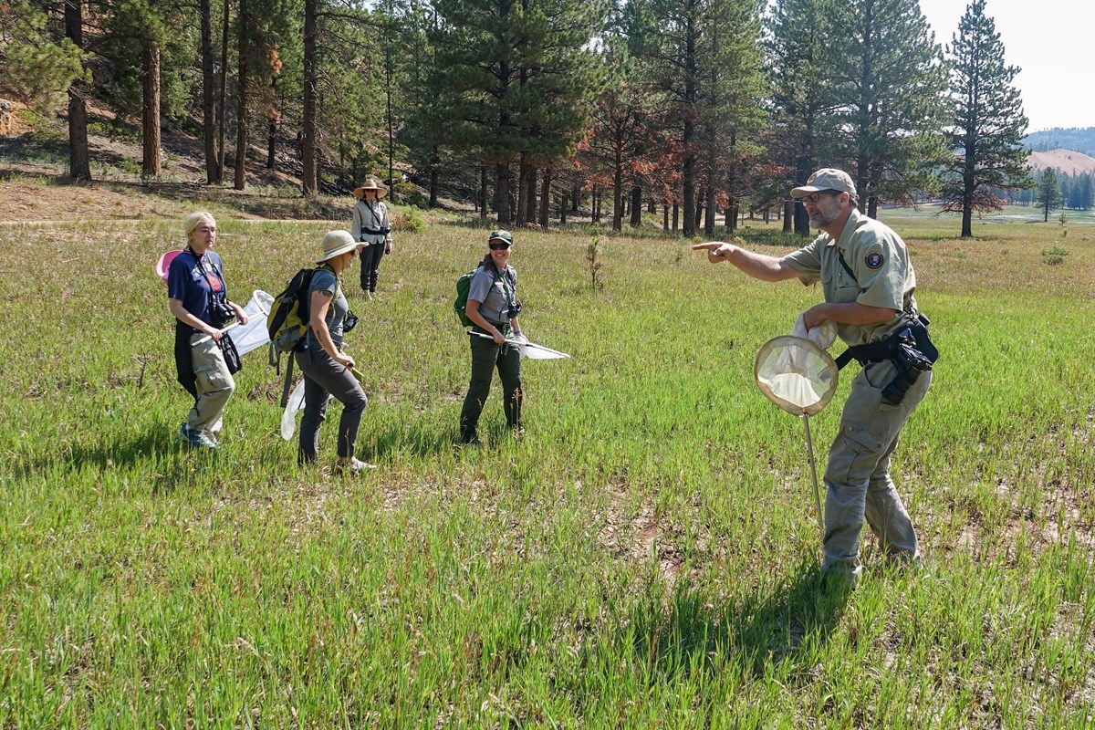 Man in tan clothes stands in grass pointing as others with butterfly nets turn to look.