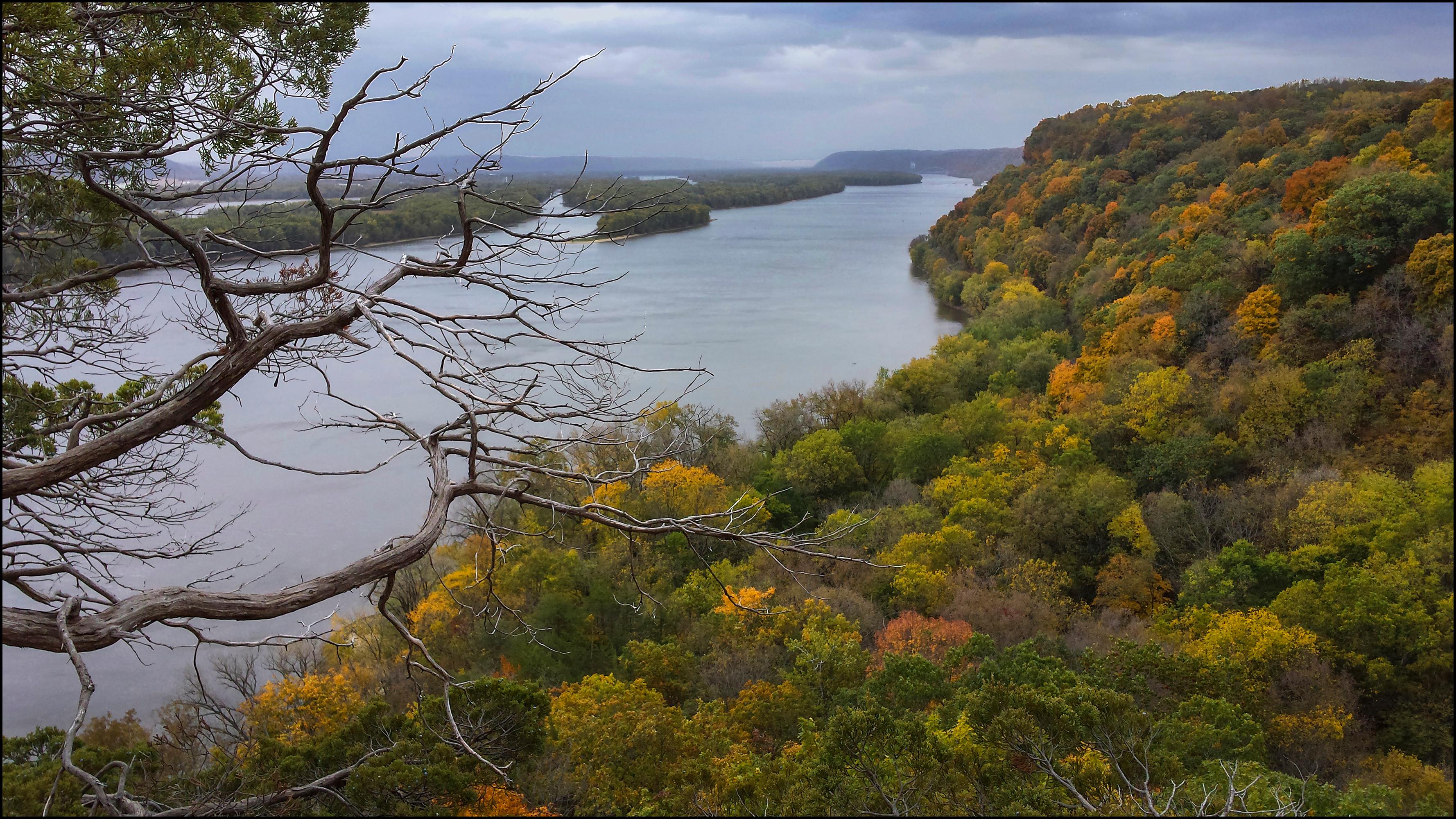 Image overlooking the Mississippi River in the background with colorful treetops in the foreground.