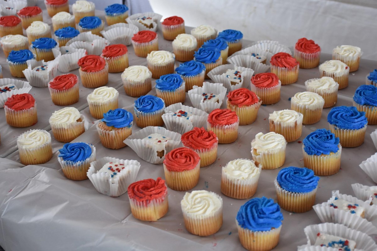 Many cupcakes with red, white, and blue icing are lined up in rows on a table.