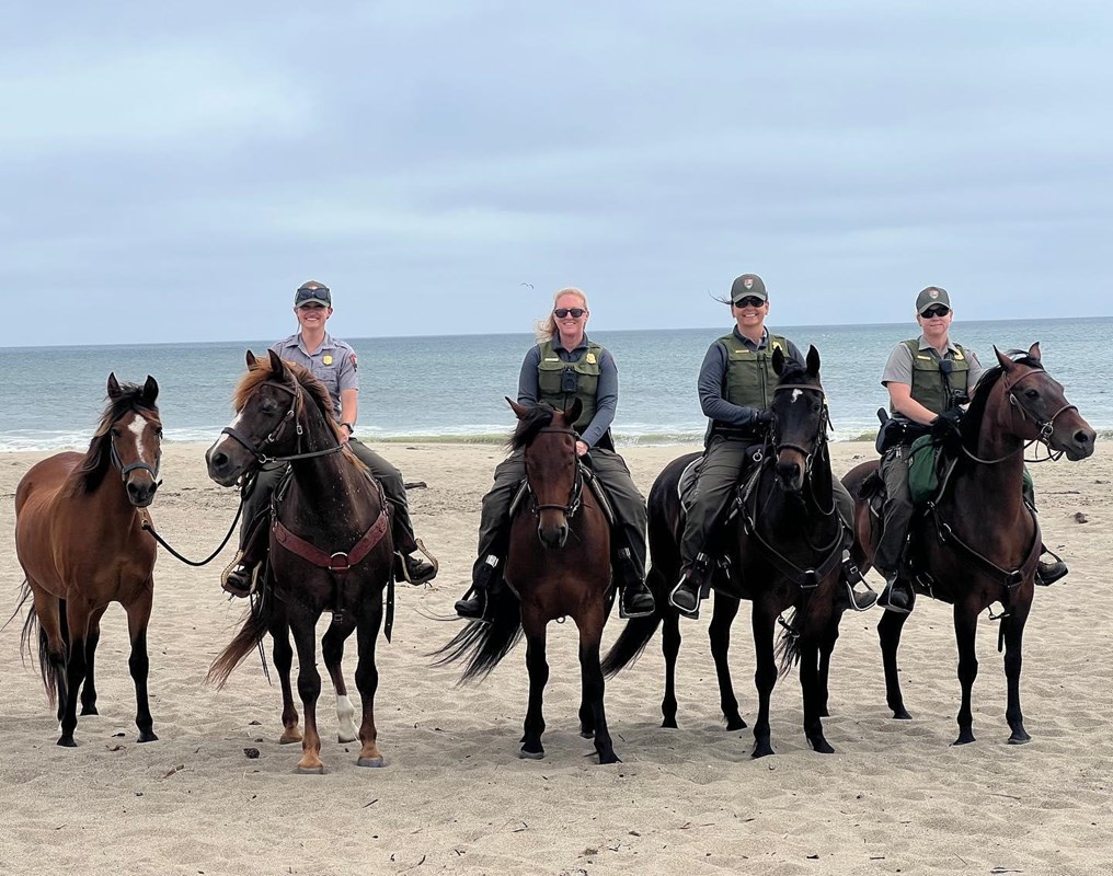 Five horses and four riders on a sandy beach on an overcast day.