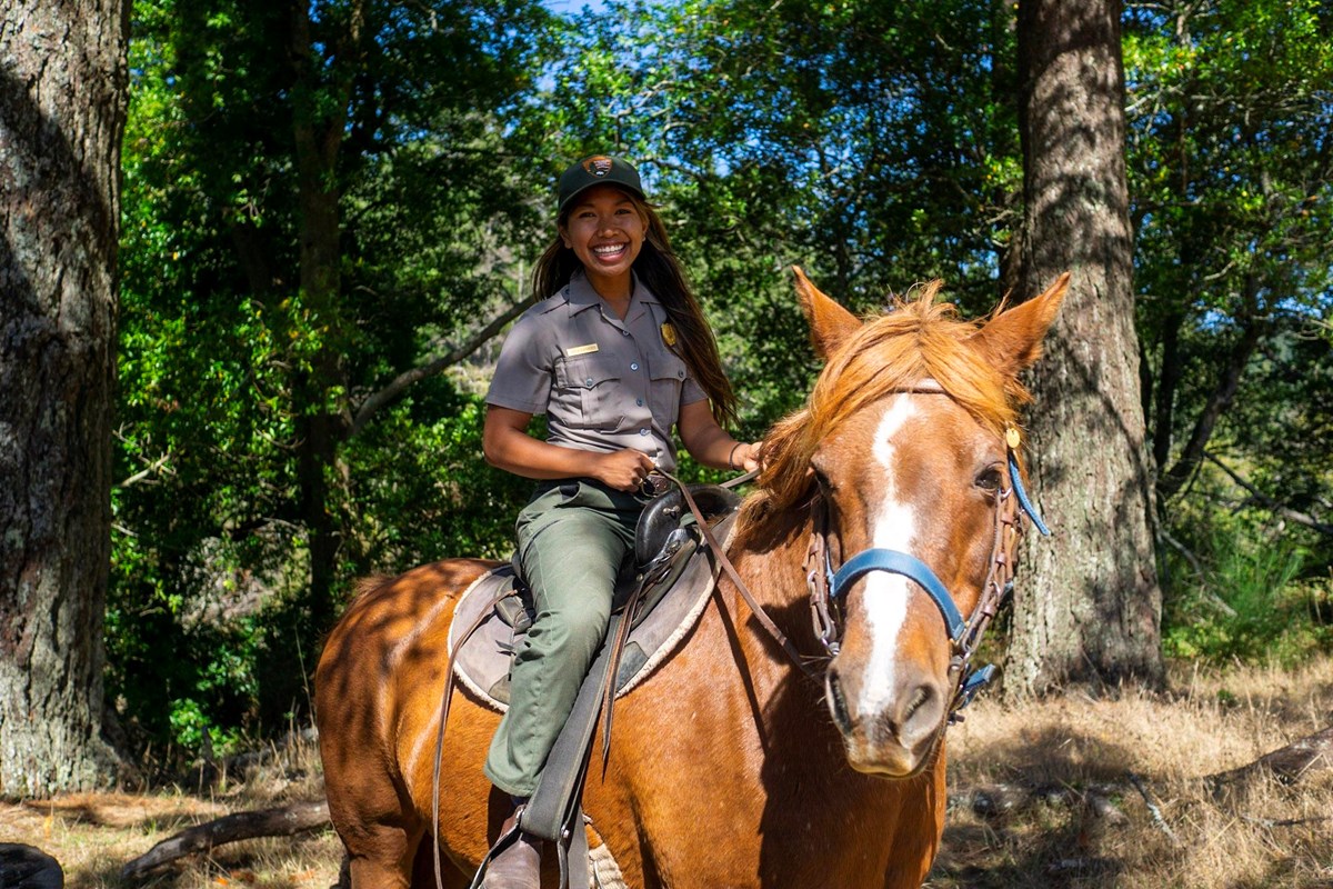 A park ranger in a green baseball hat sits atop a chestnut horse in a forest.