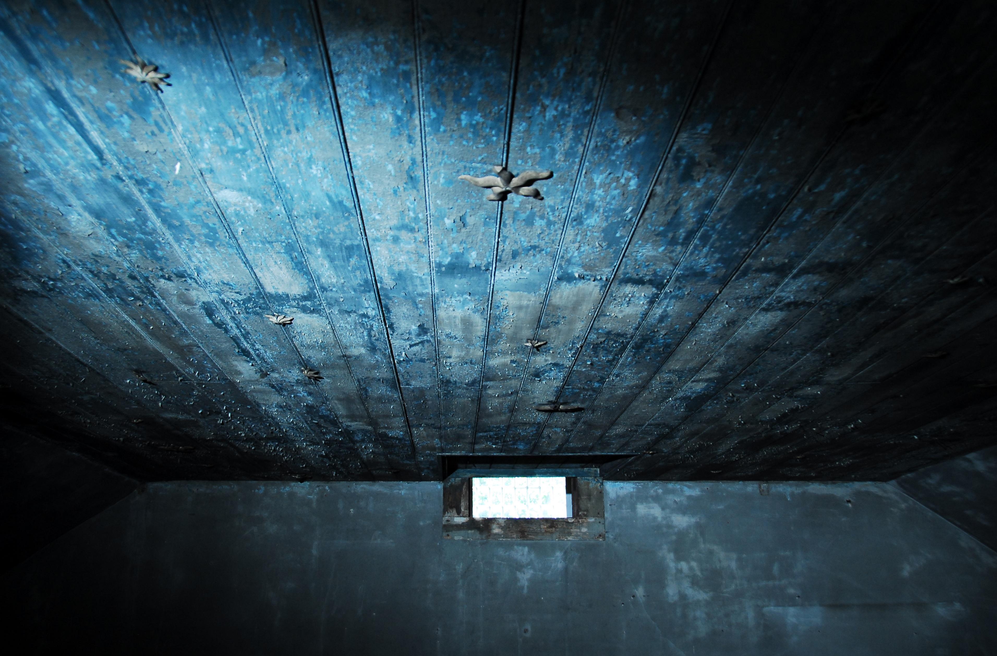 A blue green painted ceiling with gold stars on it.