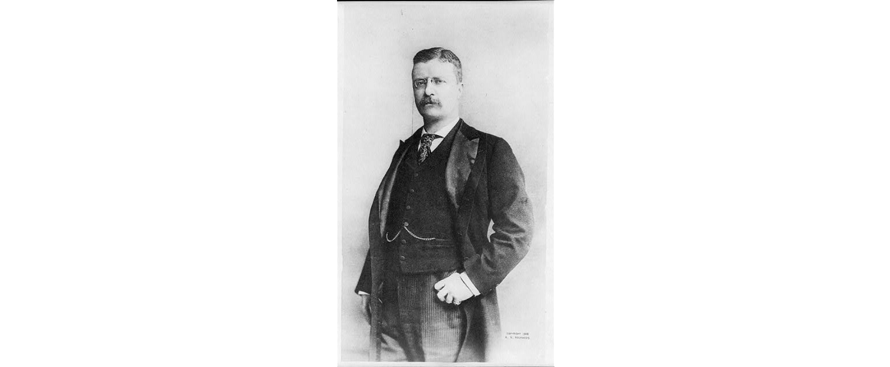 portrait of President Theodore Roosevelt