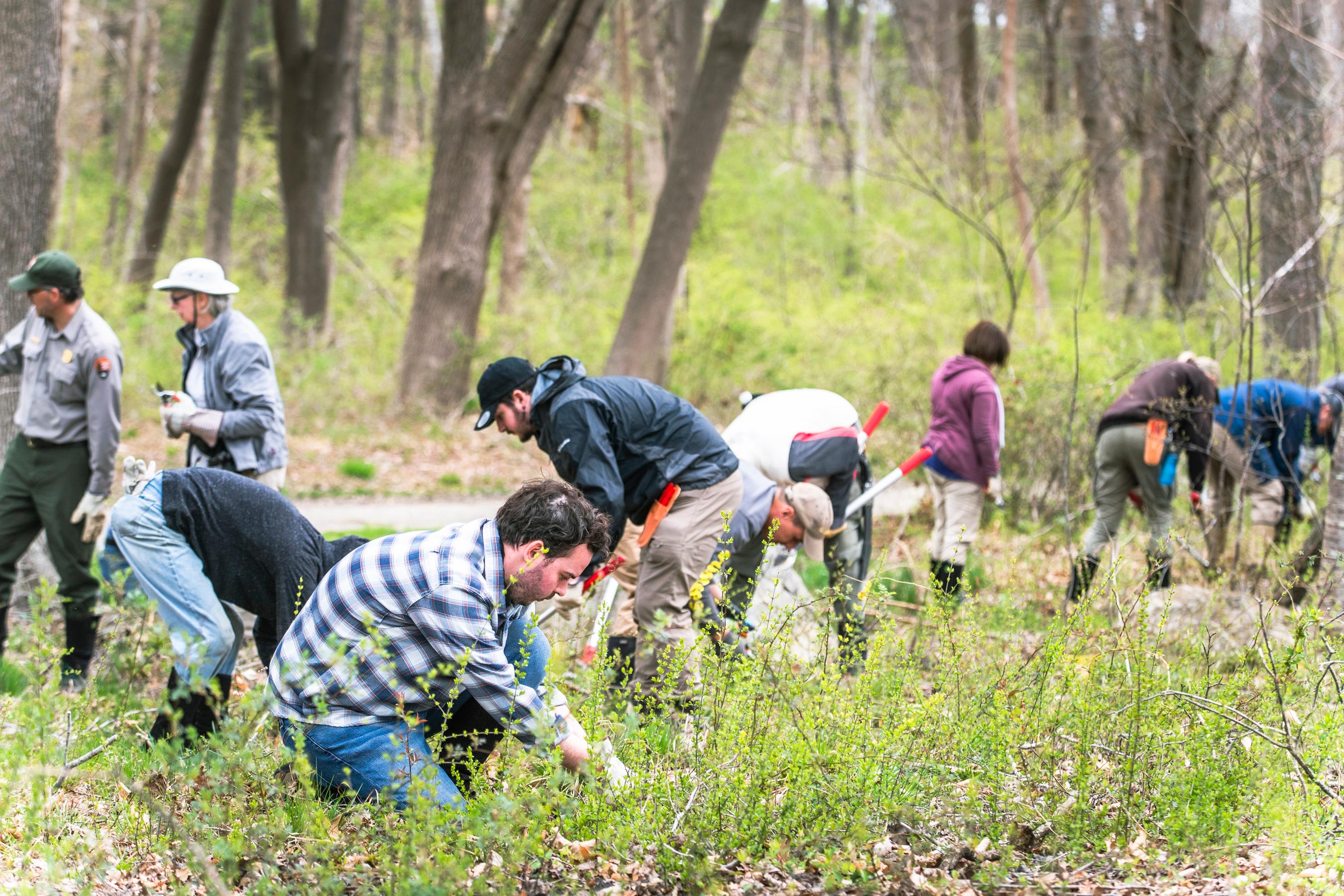 Stewardship Saturday: Webb State Park