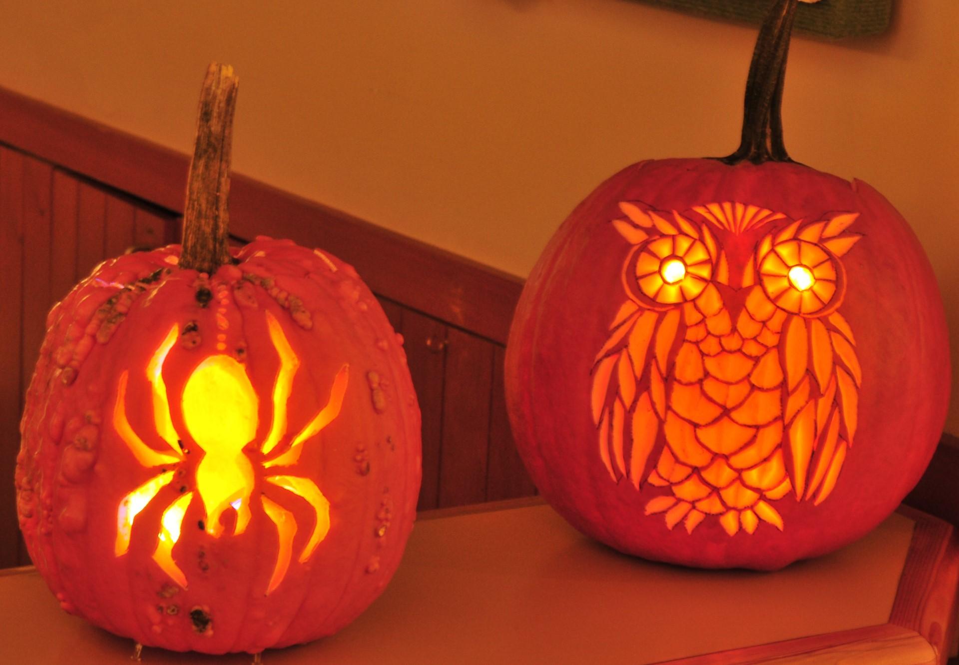 Two pumpkins sitting side by side, one with a carved spider, one with a carved owl.
