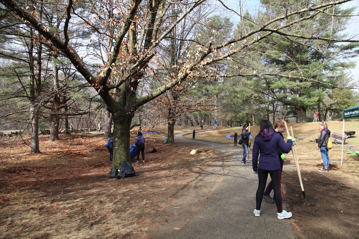 A group of park volunteers with rakes work amongst trees along a park trail. A park ranger helps