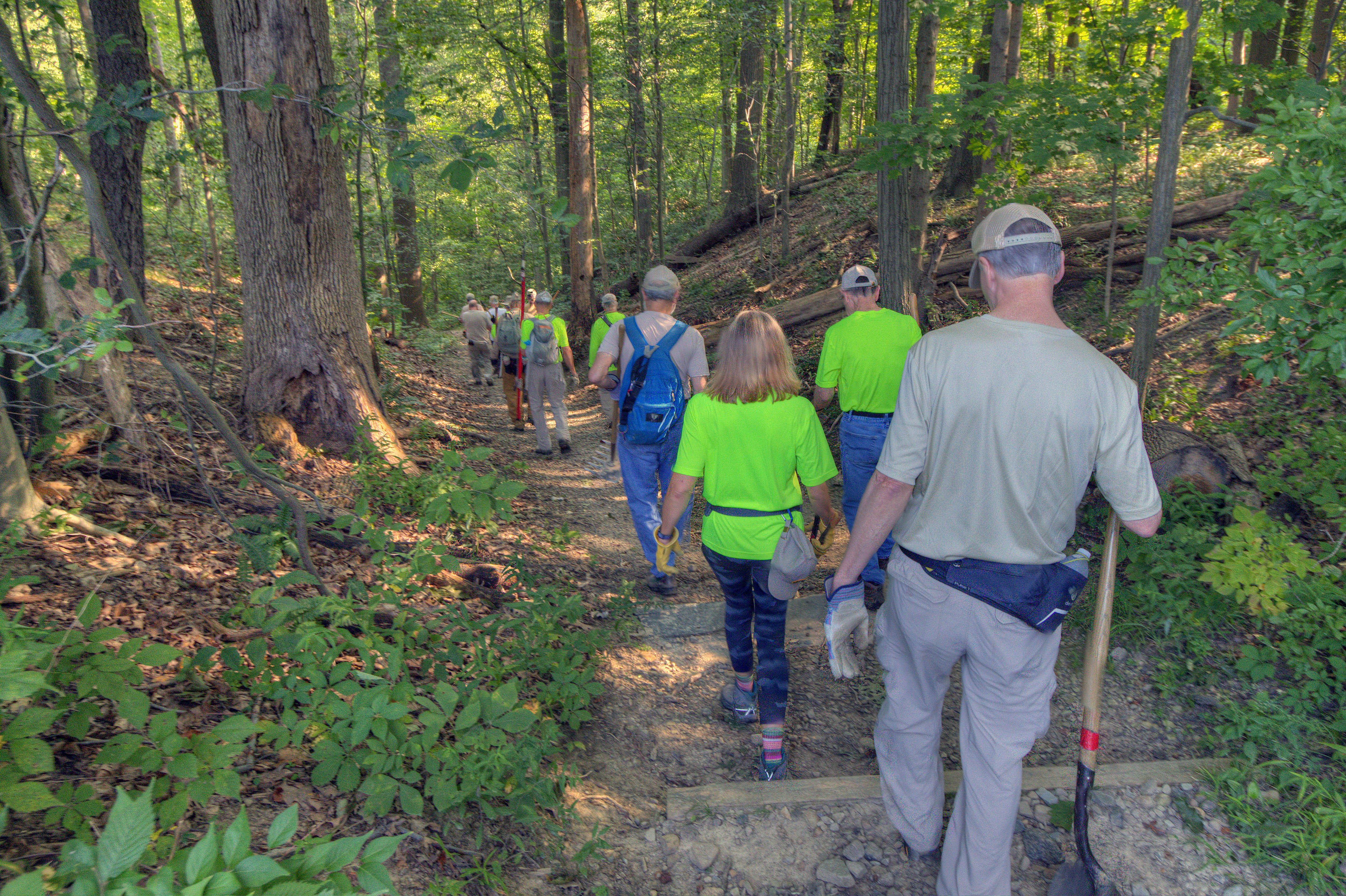 A group of volunteers walk down a hill on a dirt trail in a forest holding rakes and other tools.
