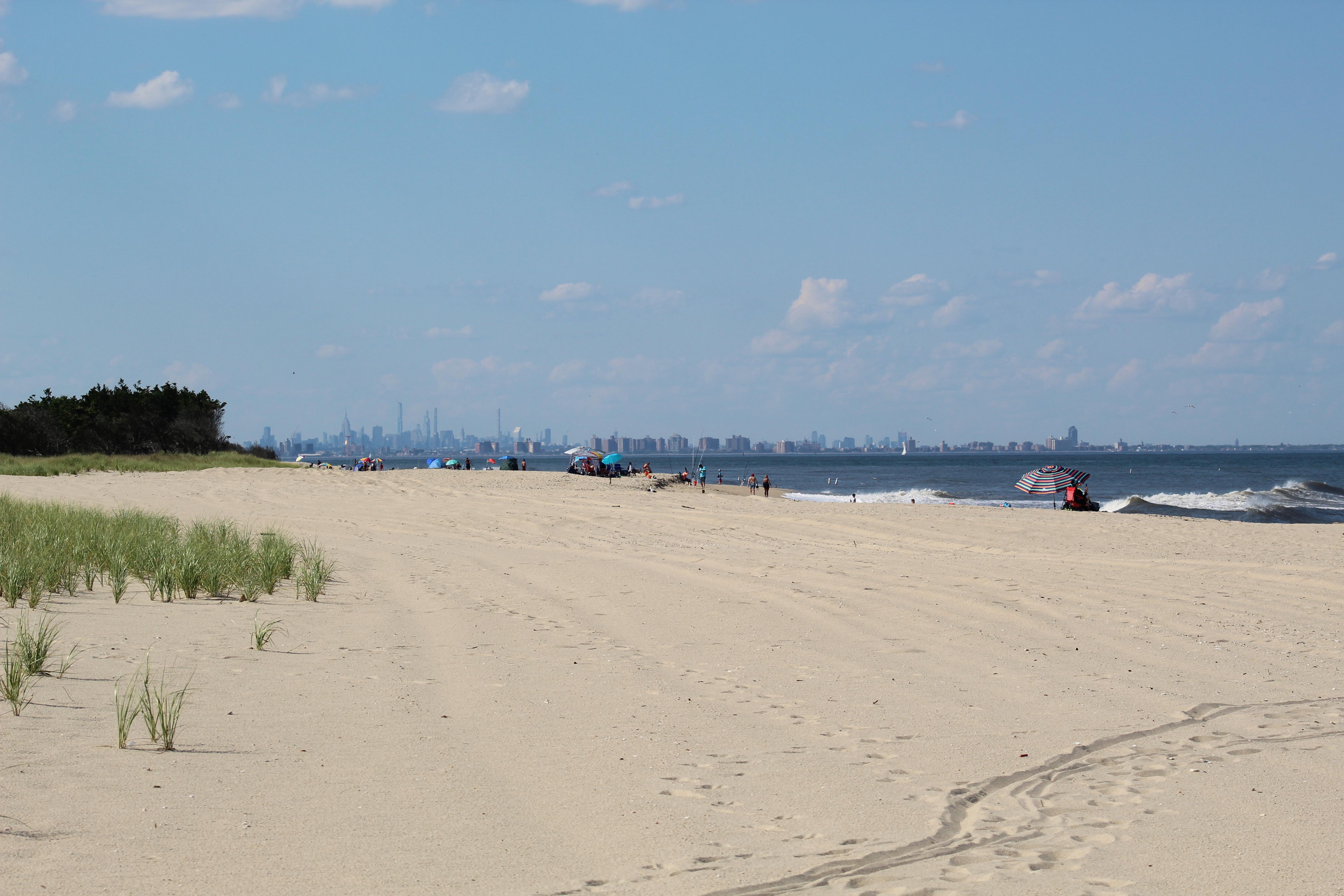 Beach under blue sky