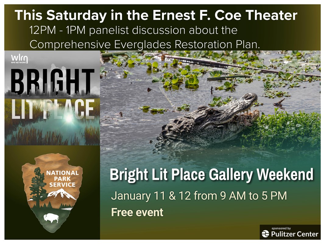 A displayed logo of WLRN NPR news and the National Park Service Arrowhead.