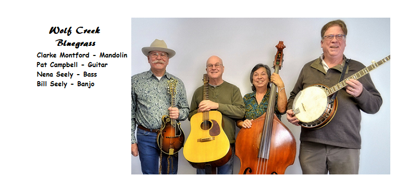 Four musicians holding string instruments against a while background