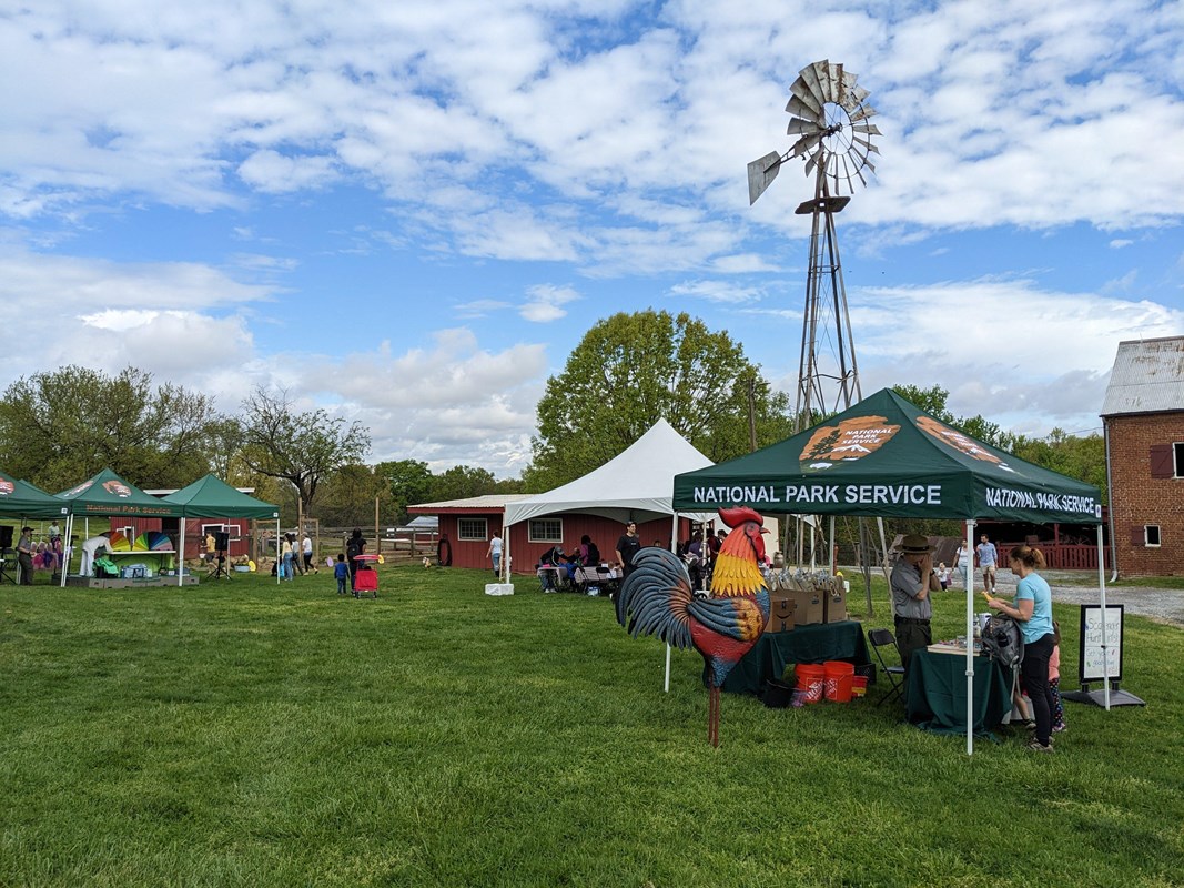 Many tents on a field at a bustling event on the farm