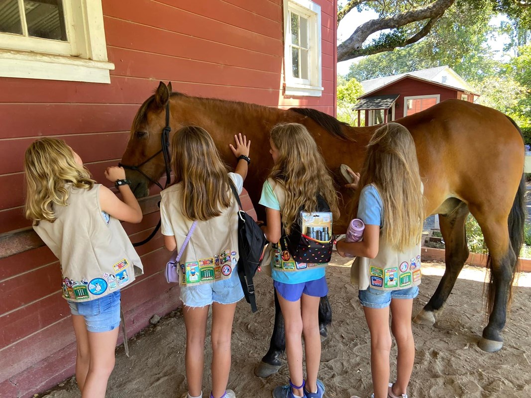 Four girls standing next to and petting a brown horse in front of a red barn.