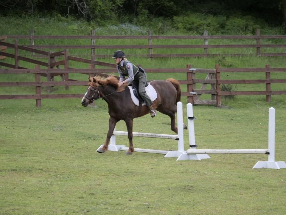 A person in a black helmet rides a reddish-brown horse over a white jump in a grassy field.