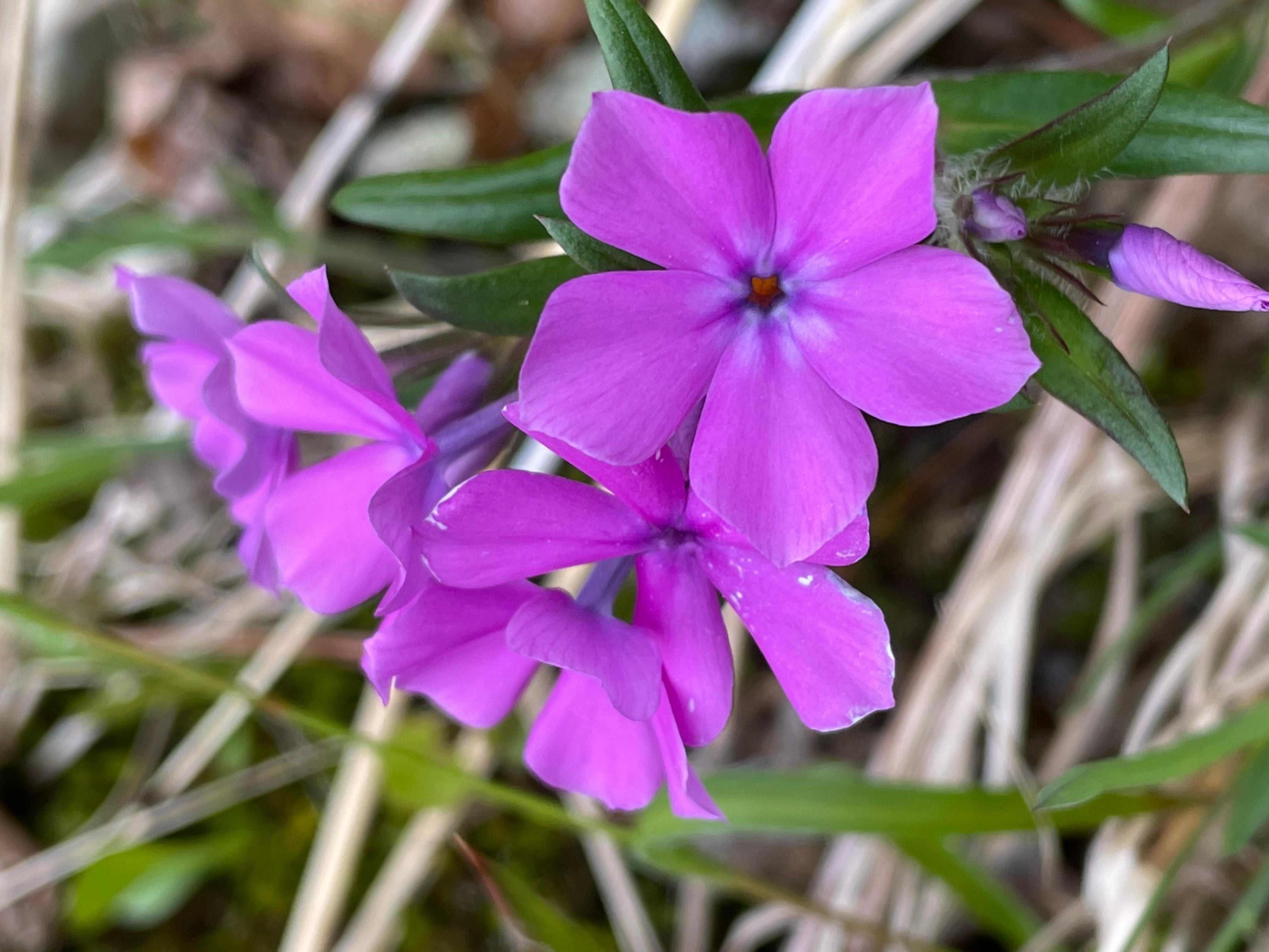 Event Details (U.S. National Park Service)