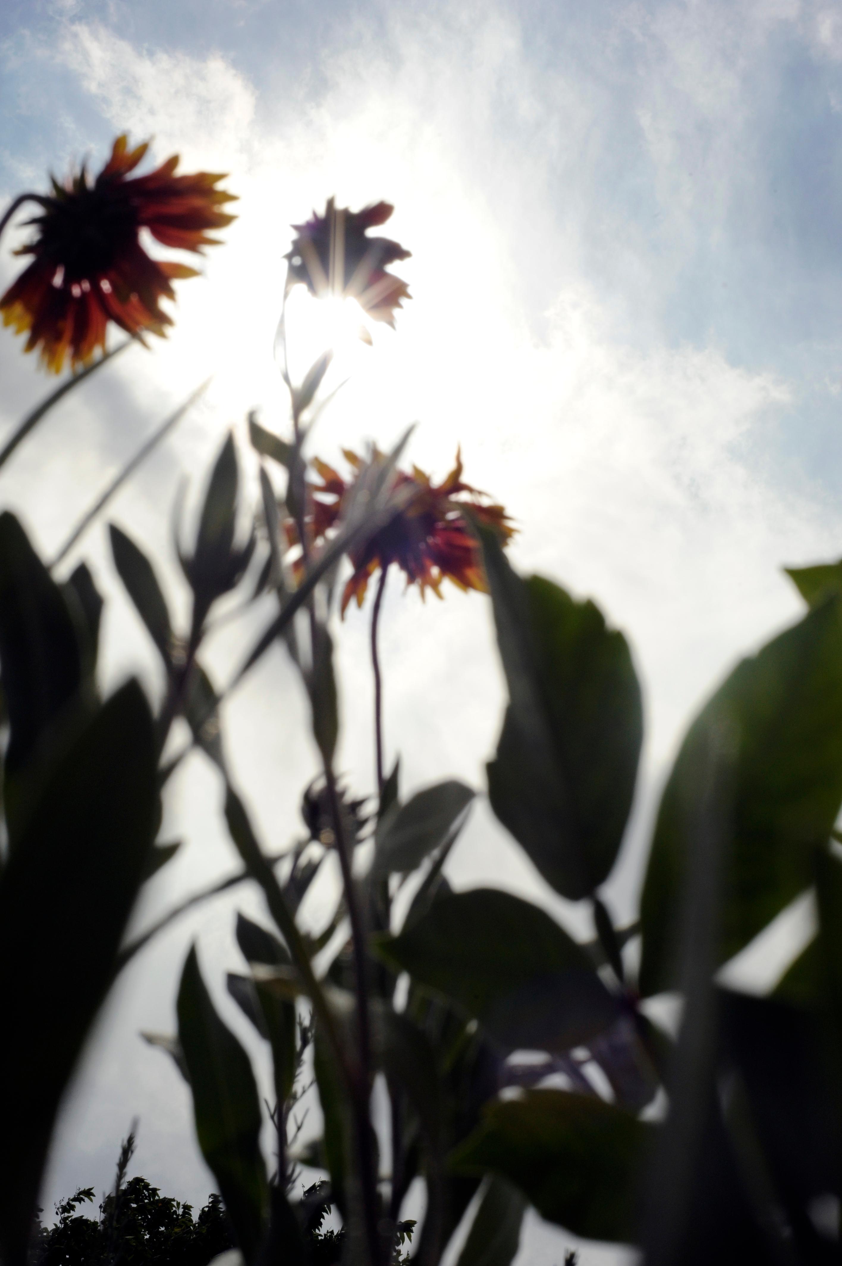 Nature Walk and Journaling  at Great Kills Park