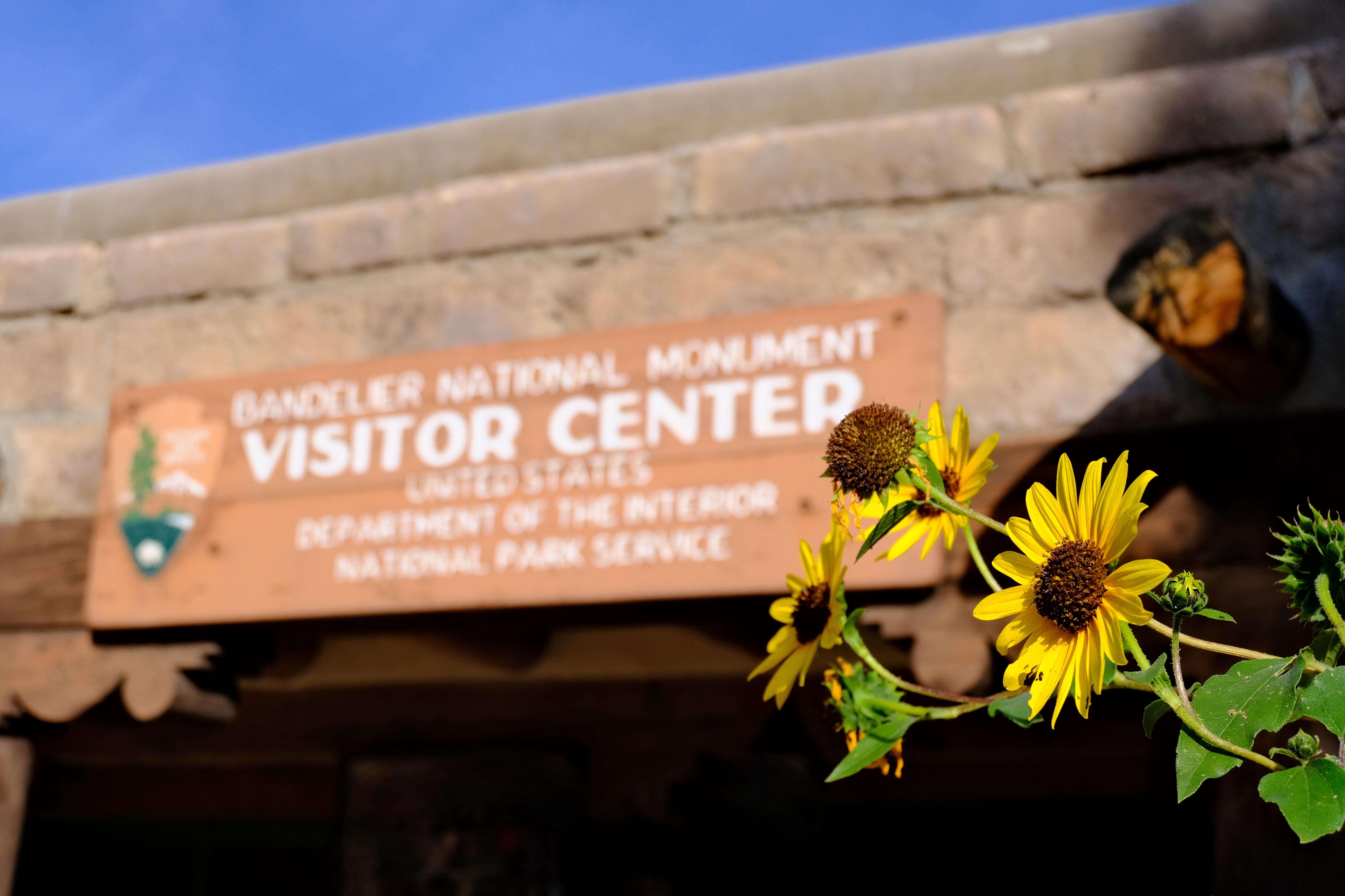 Yellow flowers stretch out in front of a sign reading “Bandelier National Monument Visitor Center”