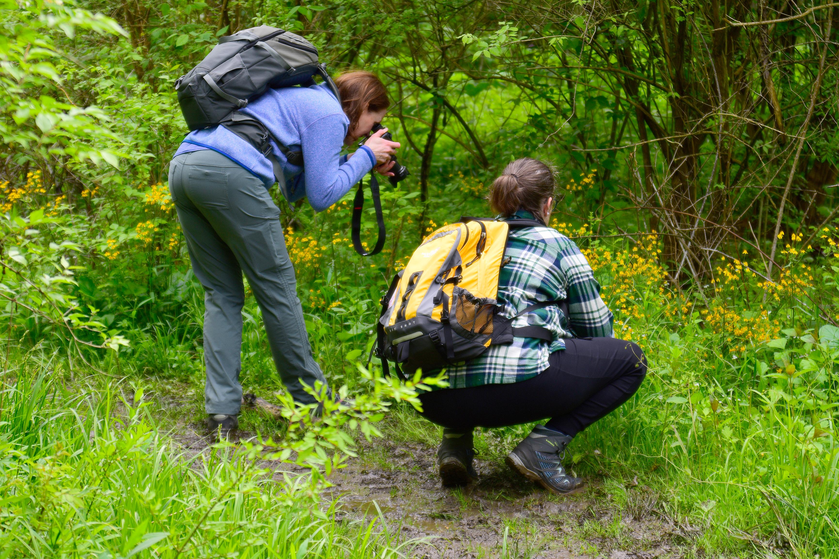 Photo Exploration Hike: Ledges Trail