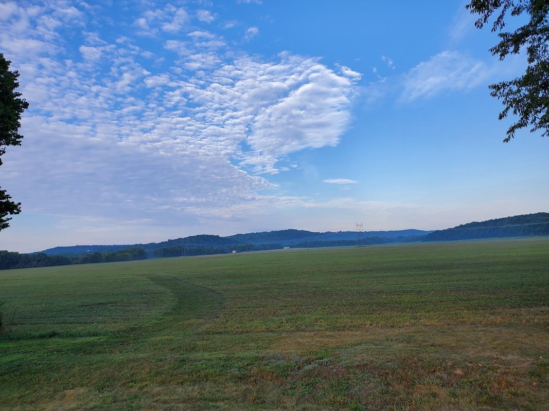 large grass field under blue sky.