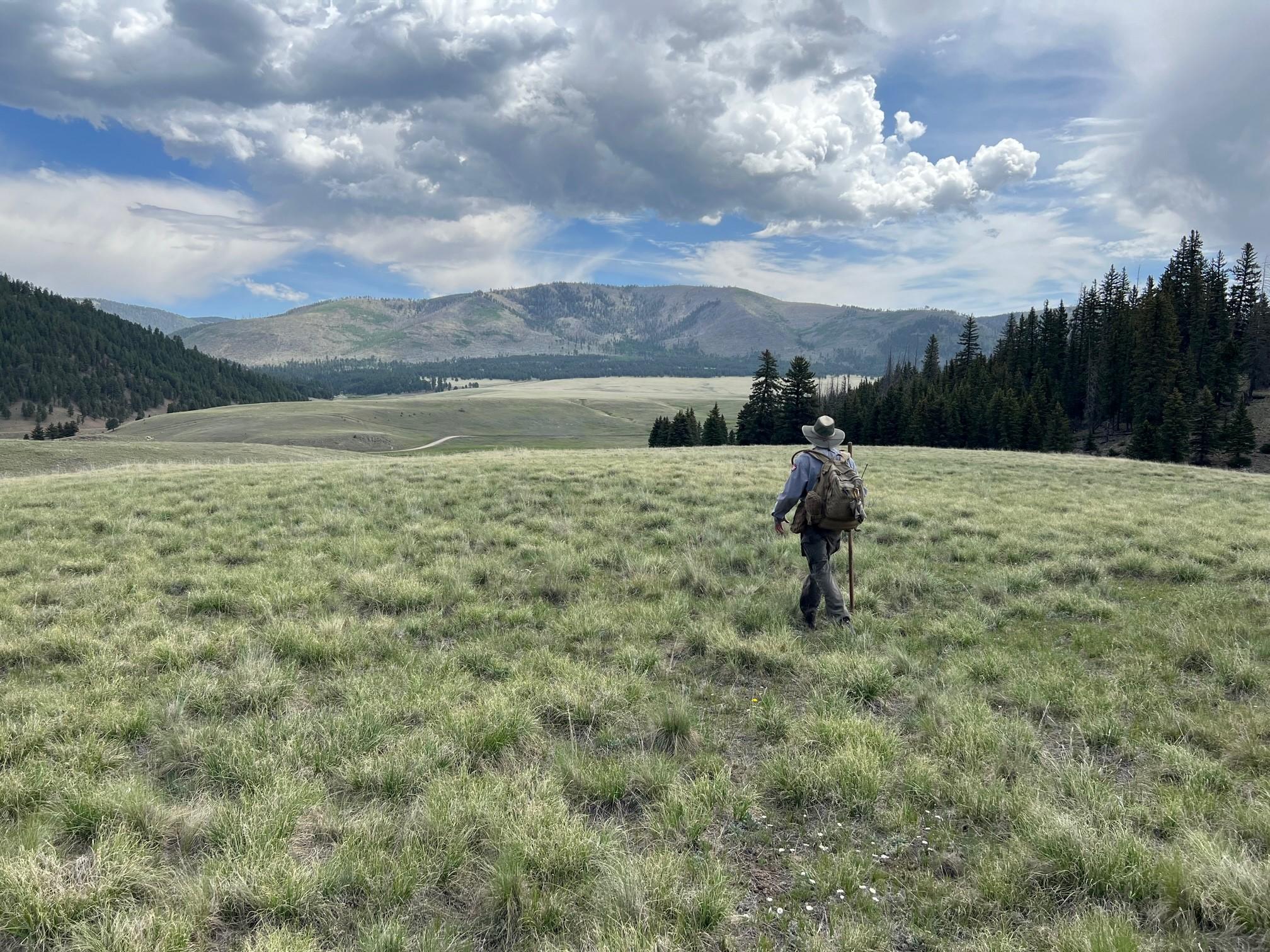 A park ranger walks in front of us across a grassy hill