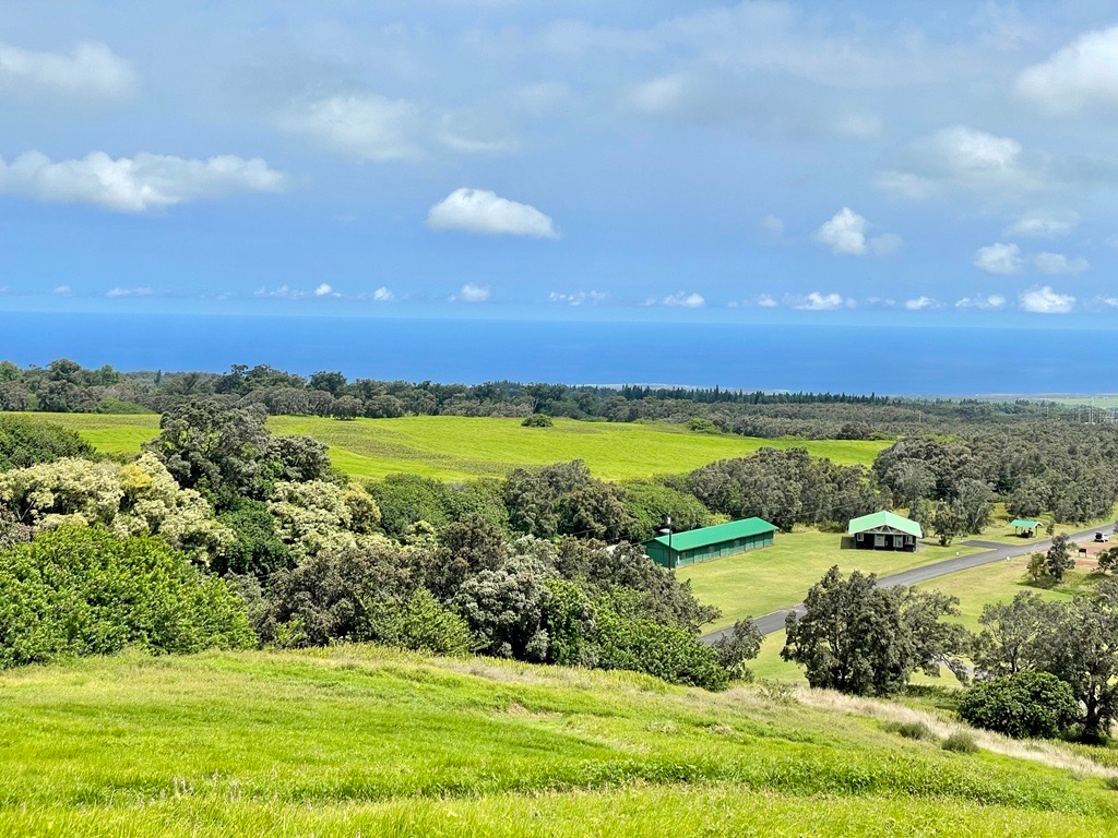 View from a grassy hill looking down on ranch lands and ocean