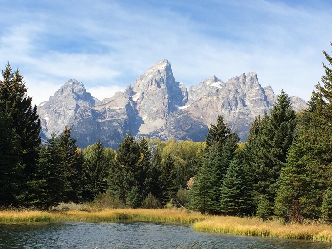 A body of water is shown in front of a group of trees with mountain peaks in the background.