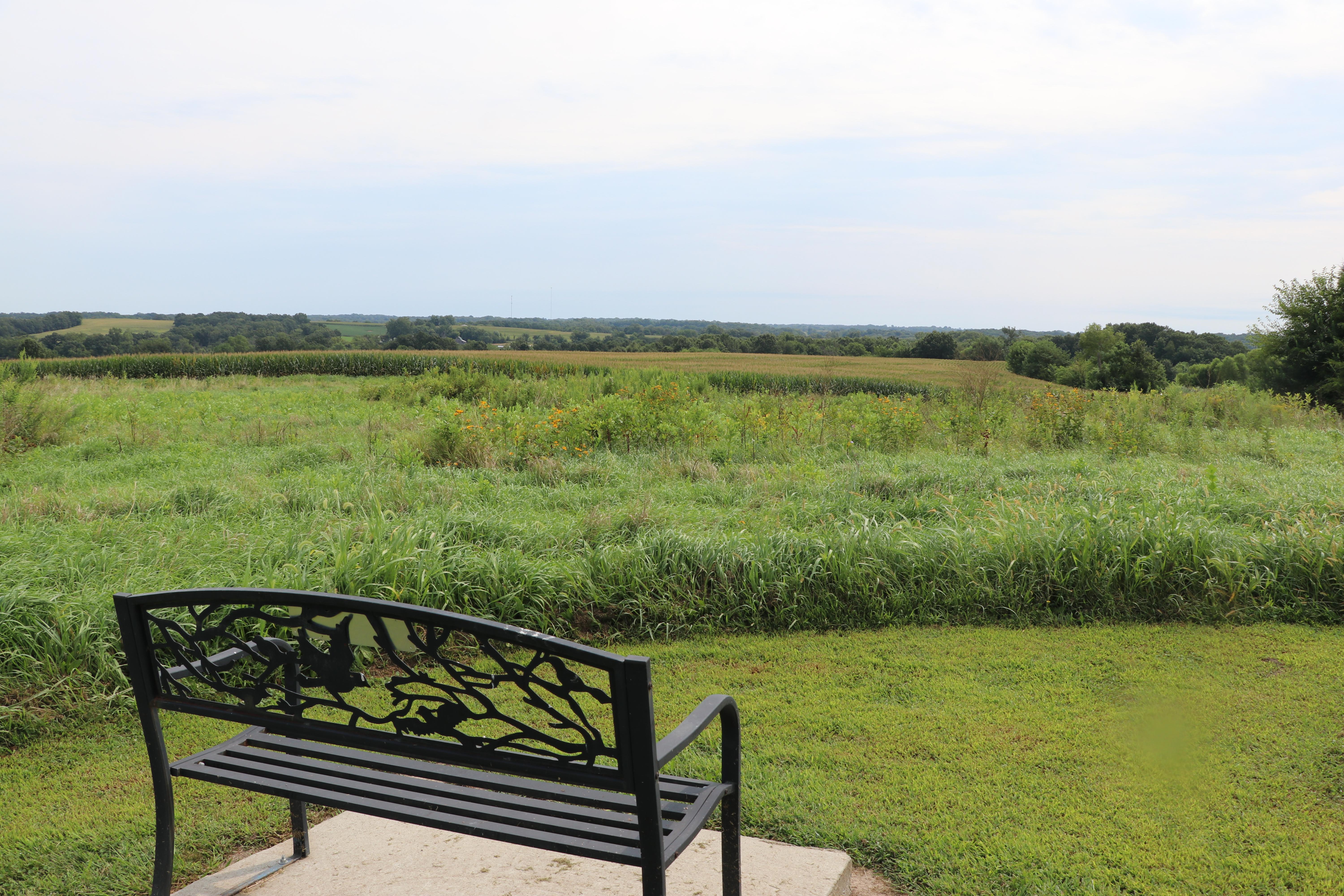 A black metal bench sitting on a concrete slab and overlooking a grassy field and a blue sky horizon