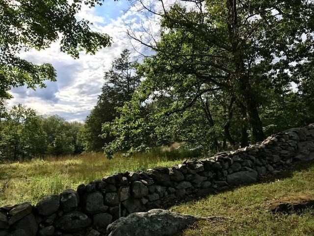 A stone wall with a meadow behind it.