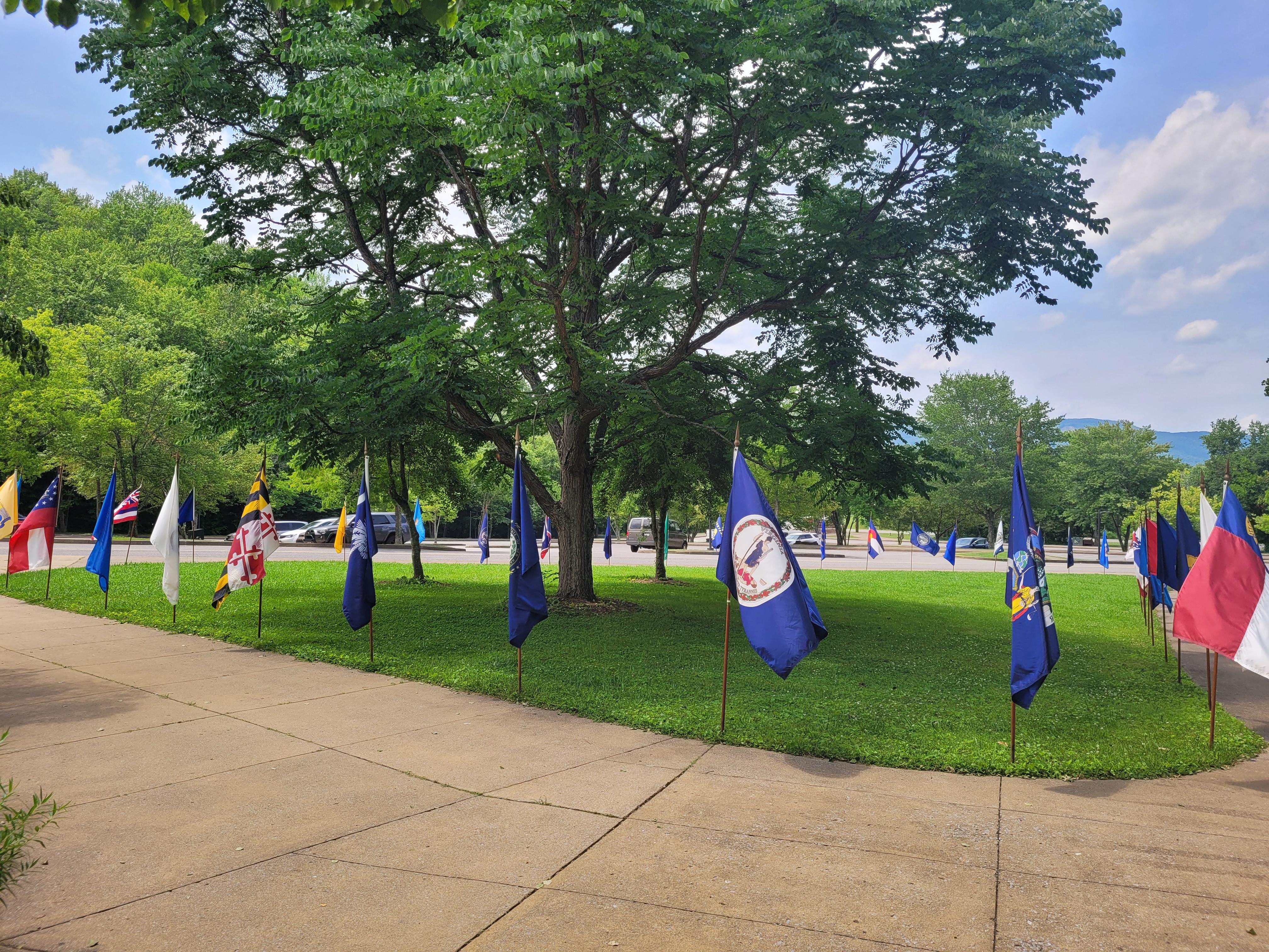 50 state flags in a circle