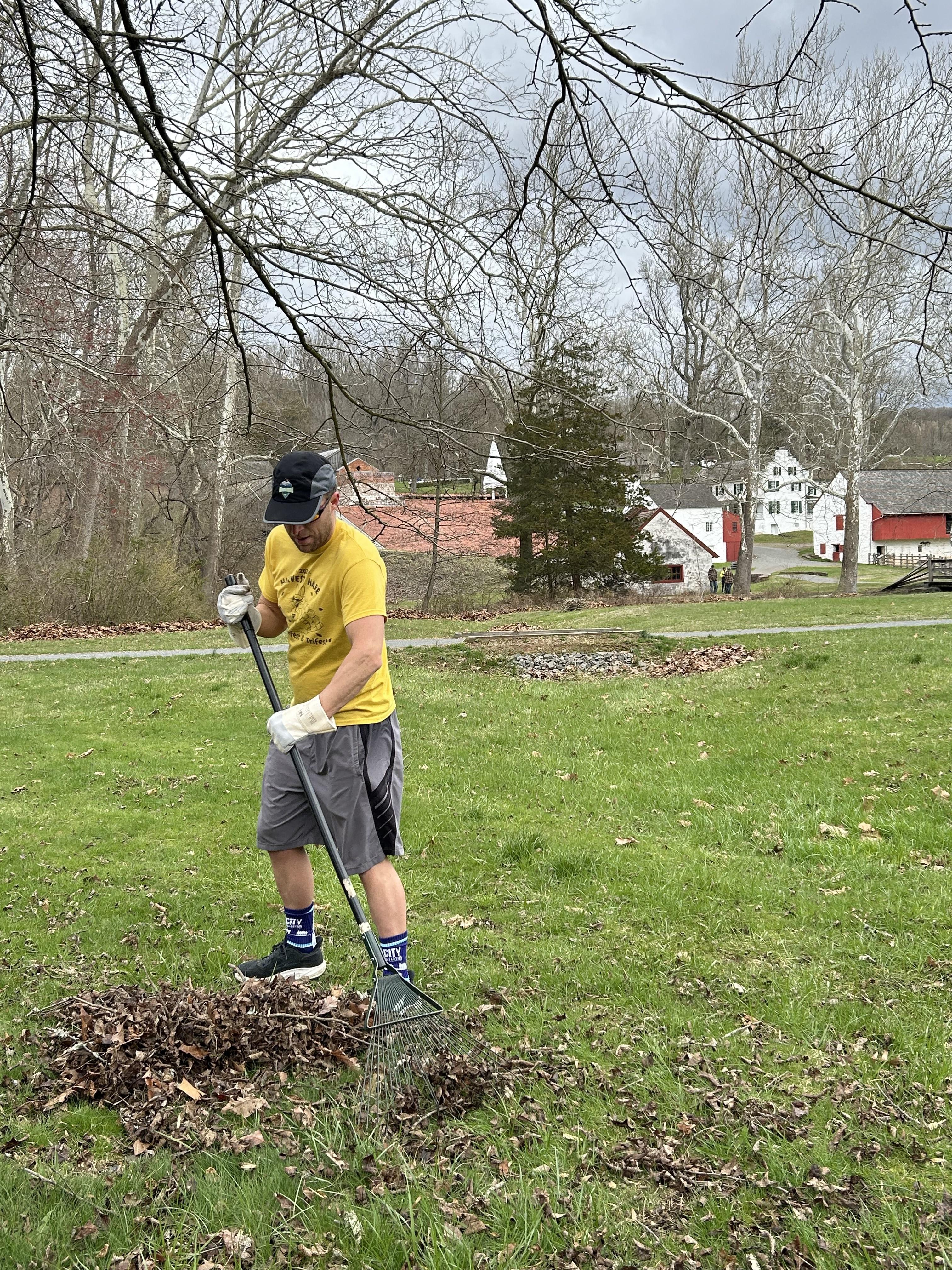 Person raking leaves