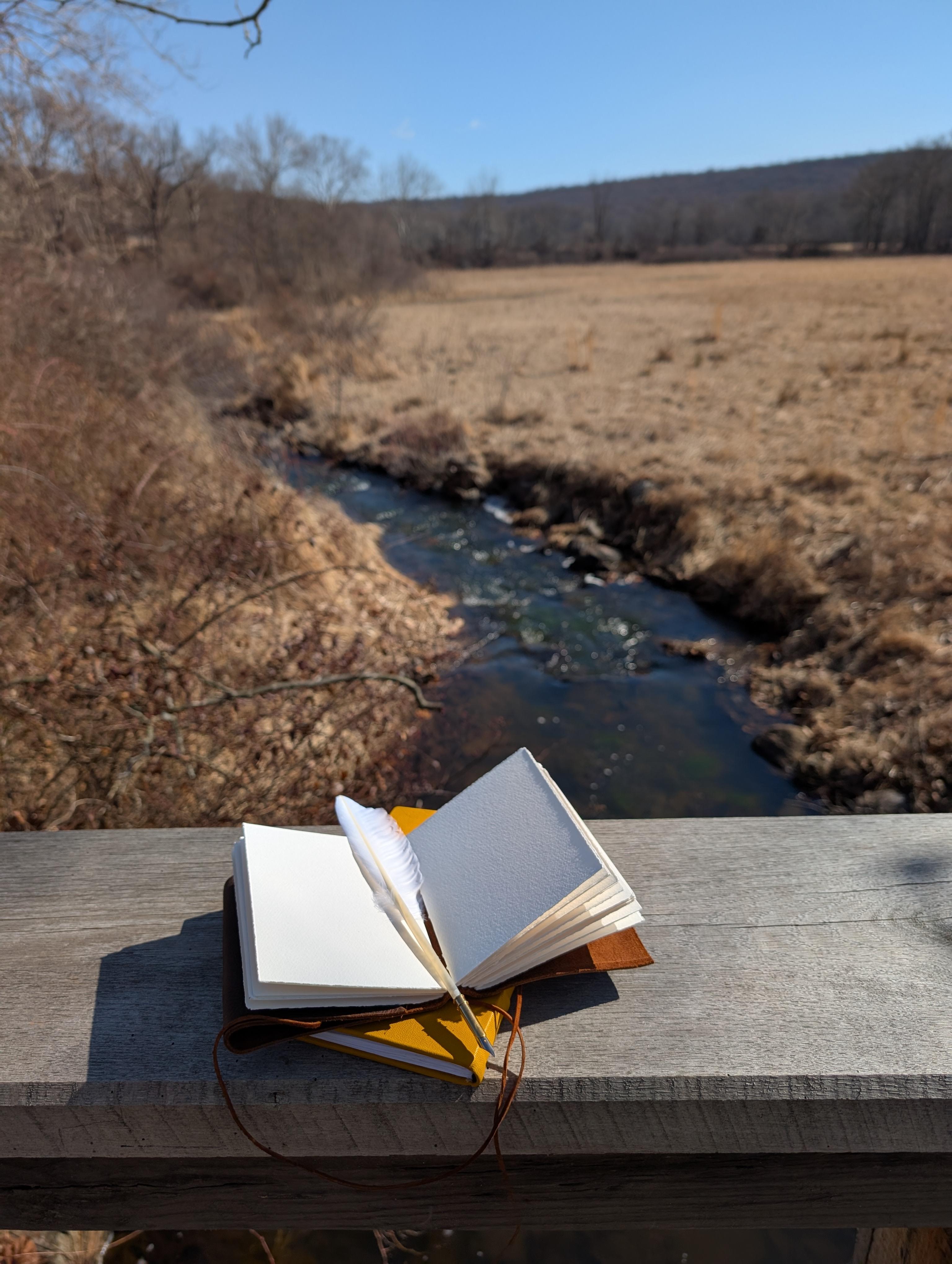 A notebook and quill pen on a fence post overlooking a creek and pasture.