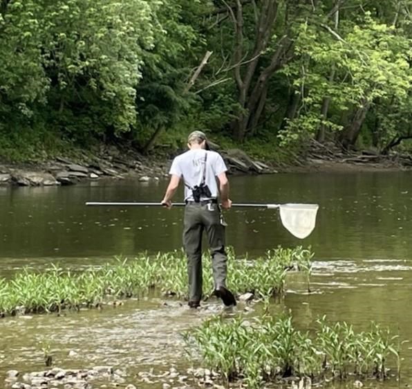 a man stands in a creek holding a net.
