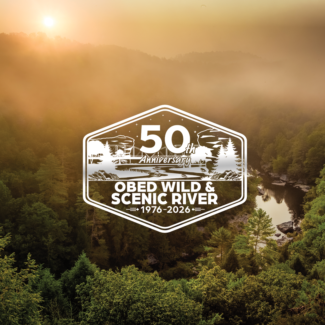 Golden sunrise over the forested Obed River gorge, with the river winding through the valley below.
