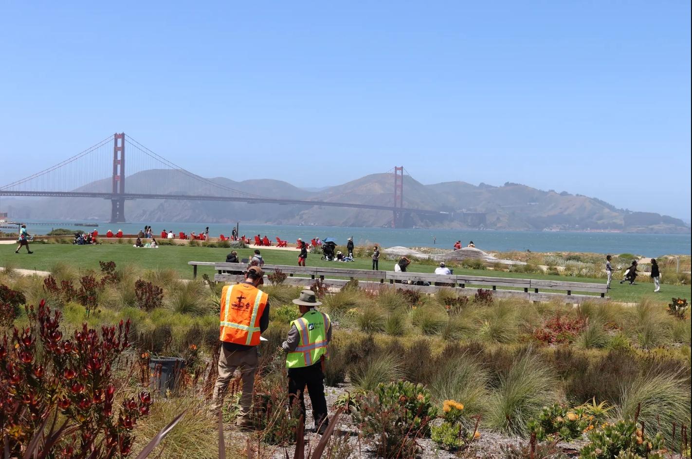 People wearing vests and picking up litter in a park with a view of a bridge in the background