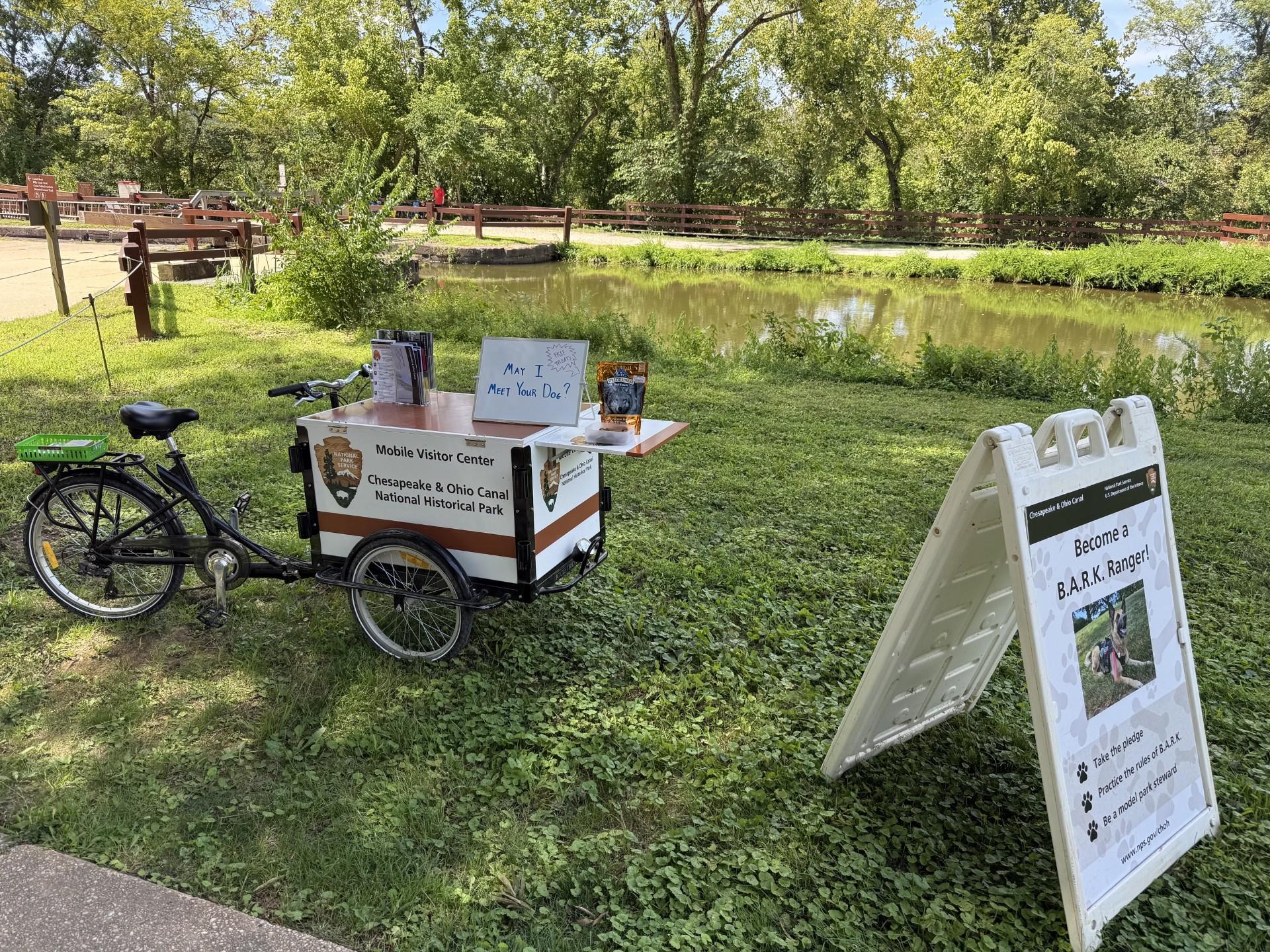 Bike with a table attached holding rack cards about dog safety and park brochures