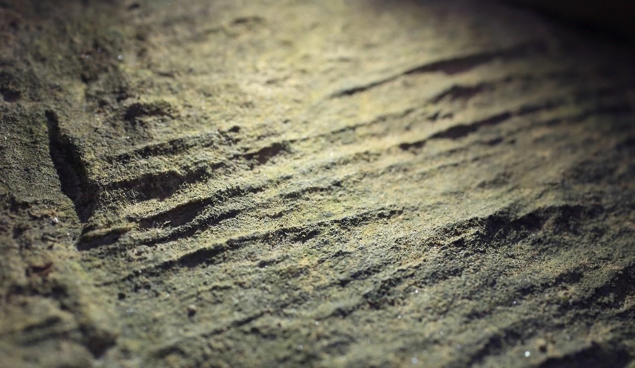 a close-up photograph of a stone surface with clear layers