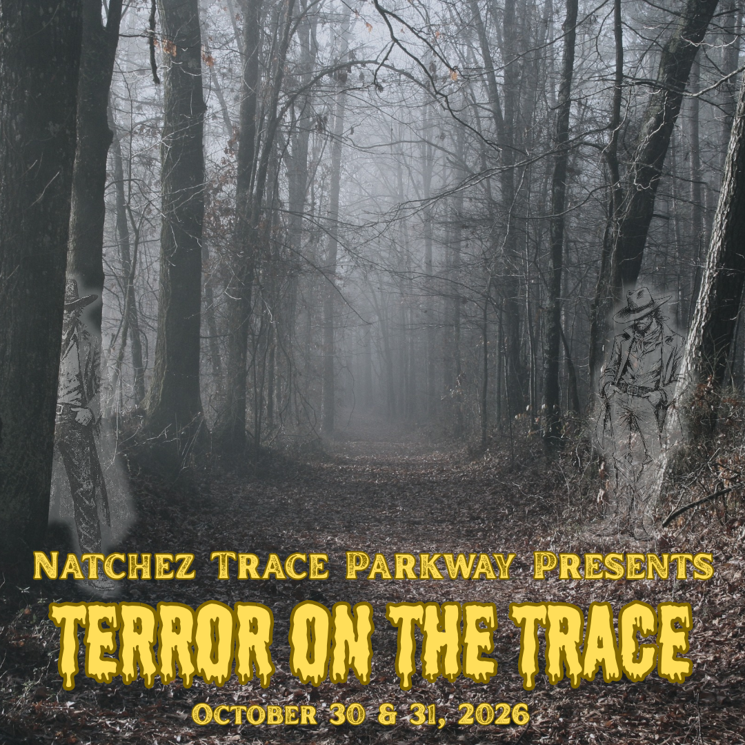 A foggy trail with two ghostly figures standing amidst the trees.