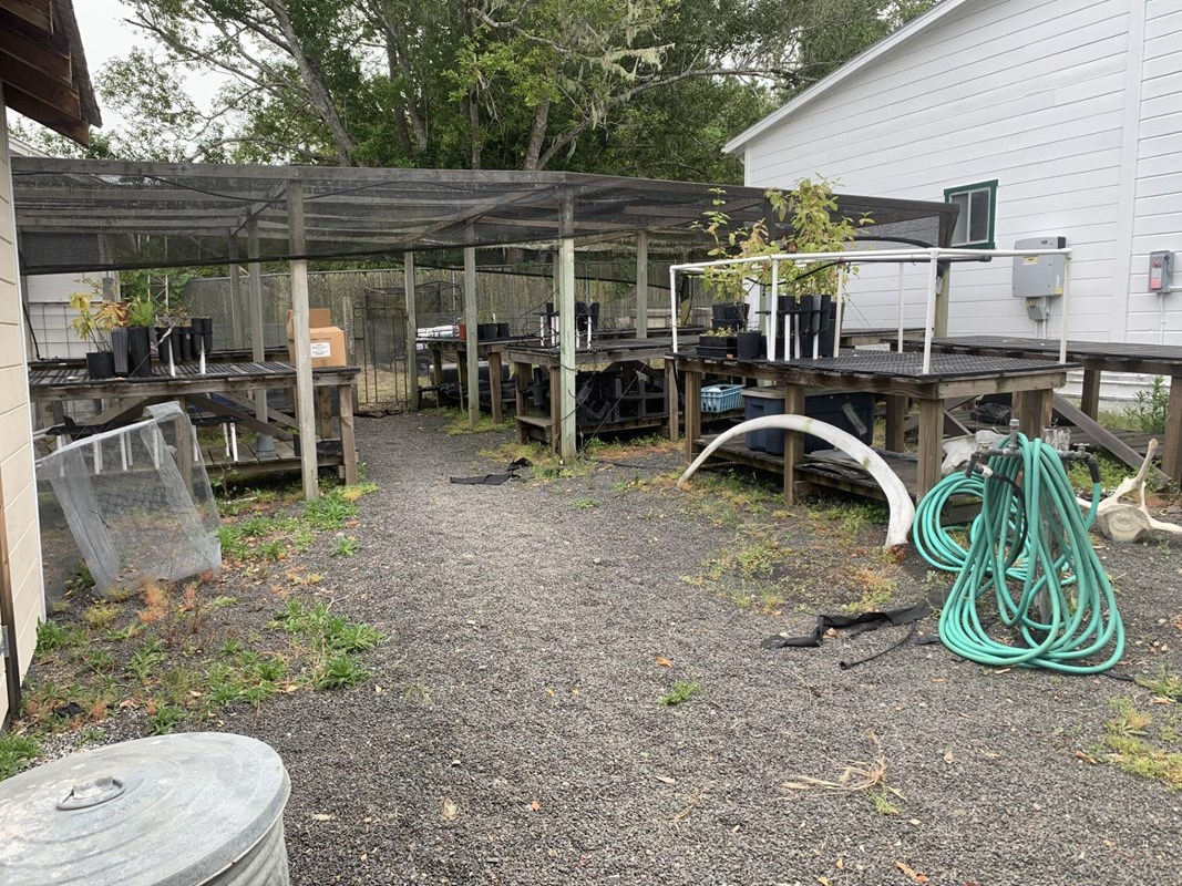 A gravel lot with a hose, wooden tables, potted plants and awning-style netting.