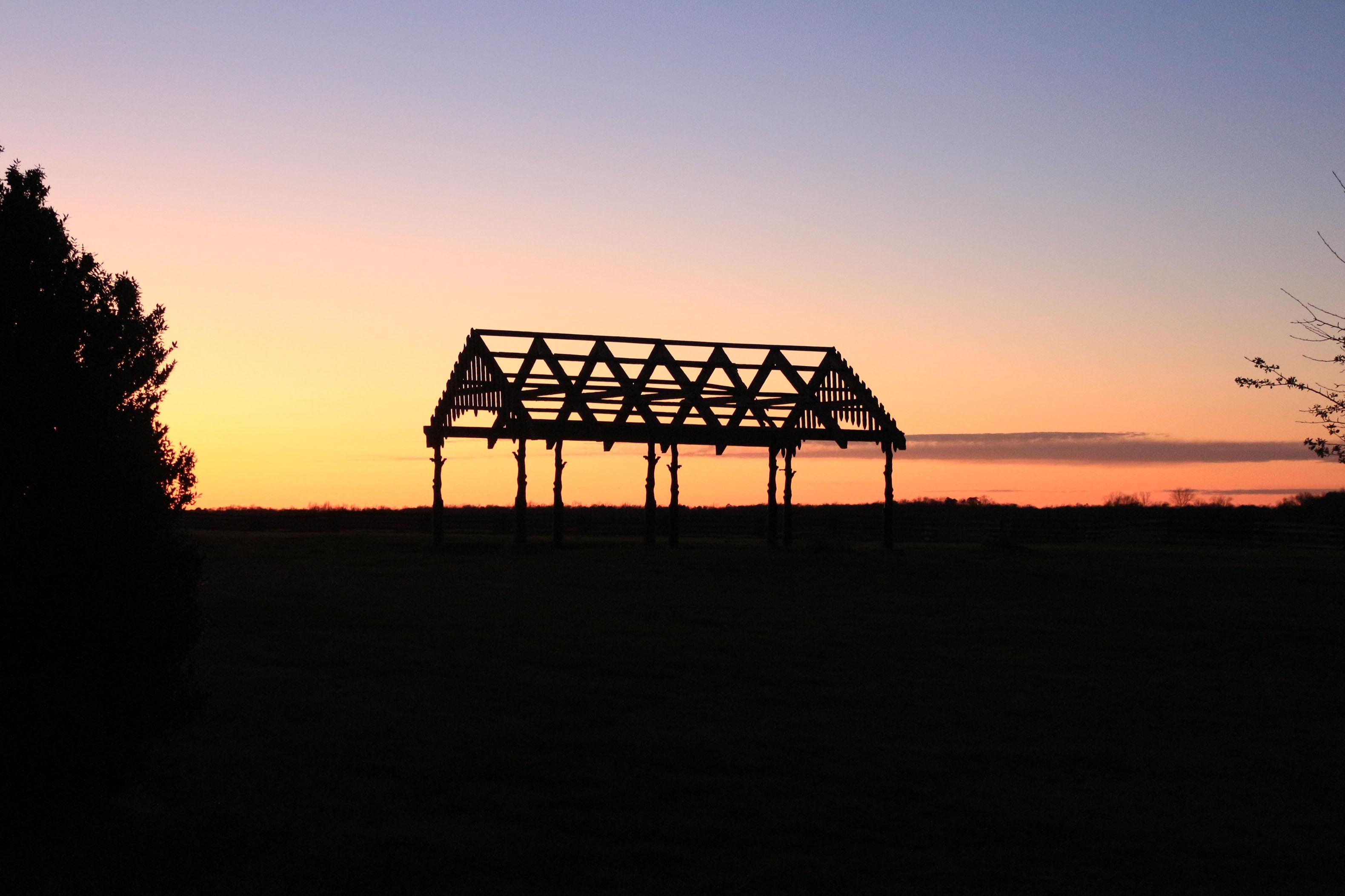 An arbore in a sunset.