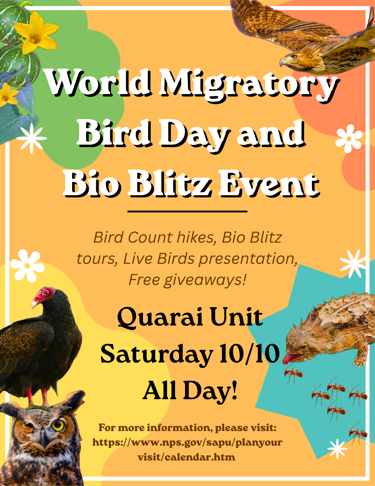 Colorful World Migratory Bird Day and Bio Blitz poster featuring birds, owl, lizard, flowers; promot