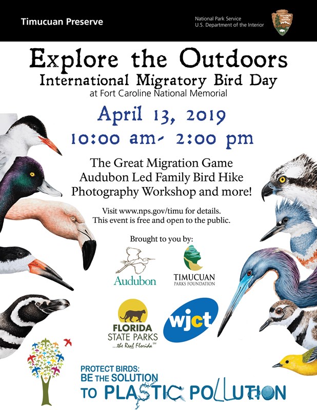 a flyer with birds advertising the event