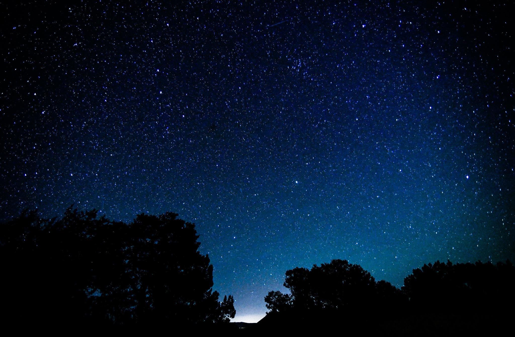 A dark sky filled with stars, silhouettes of trees are below the starry sky.