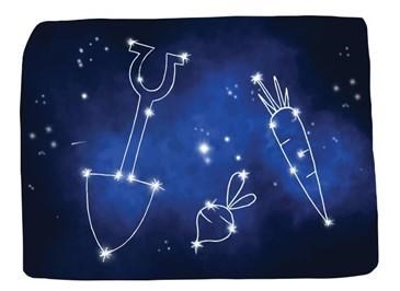Bright stars connecting to make constellations.